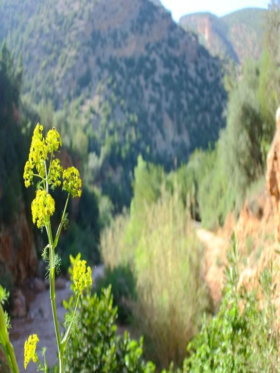 Riad Cascades D'Ouzoud Εξωτερικό φωτογραφία