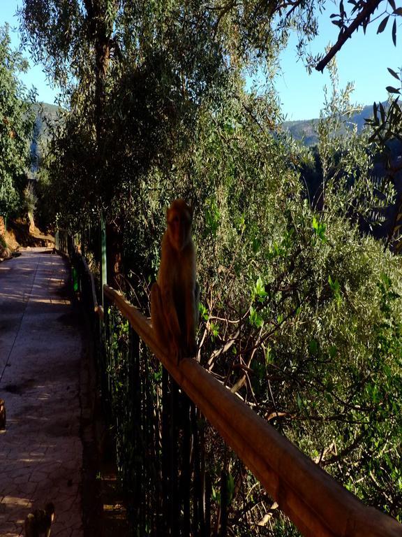 Riad Cascades D'Ouzoud Εξωτερικό φωτογραφία