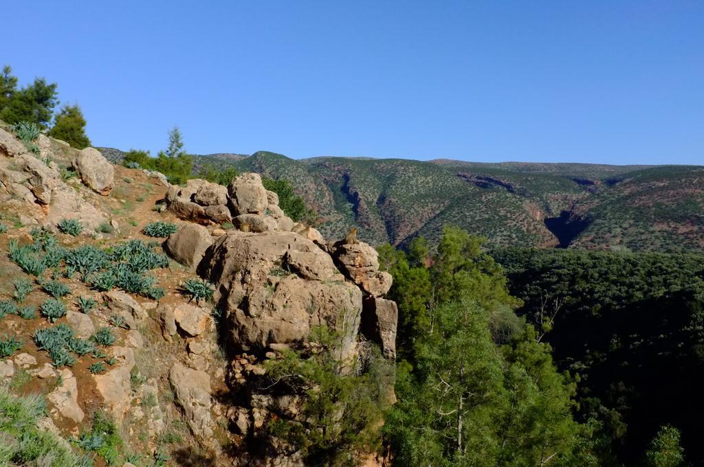 Riad Cascades D'Ouzoud Εξωτερικό φωτογραφία