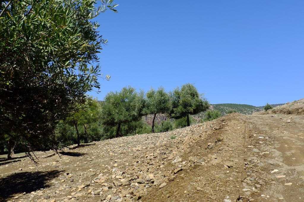 Riad Cascades D'Ouzoud Εξωτερικό φωτογραφία