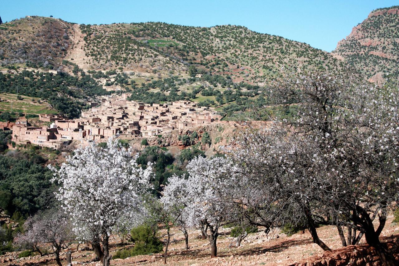 Riad Cascades D'Ouzoud Εξωτερικό φωτογραφία